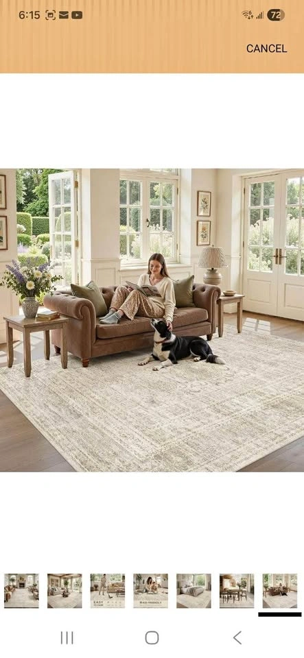 10x12 Area Rug for Living Room