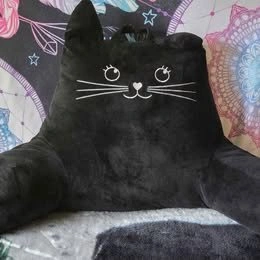 Cat Reading/backrest Pillow NEW