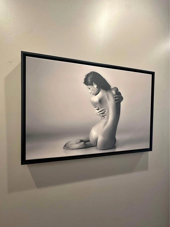 Framed canvas painting of lady
