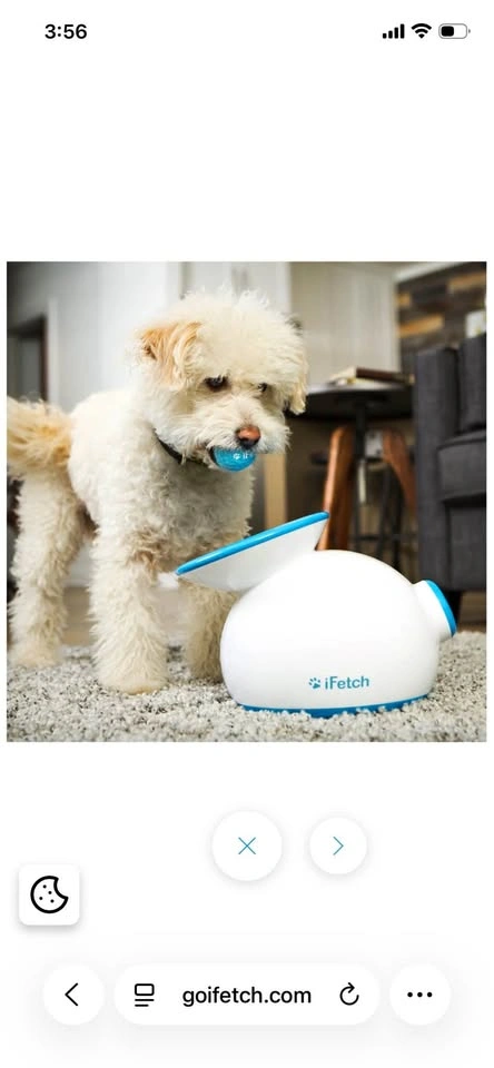 Dog ball launcher