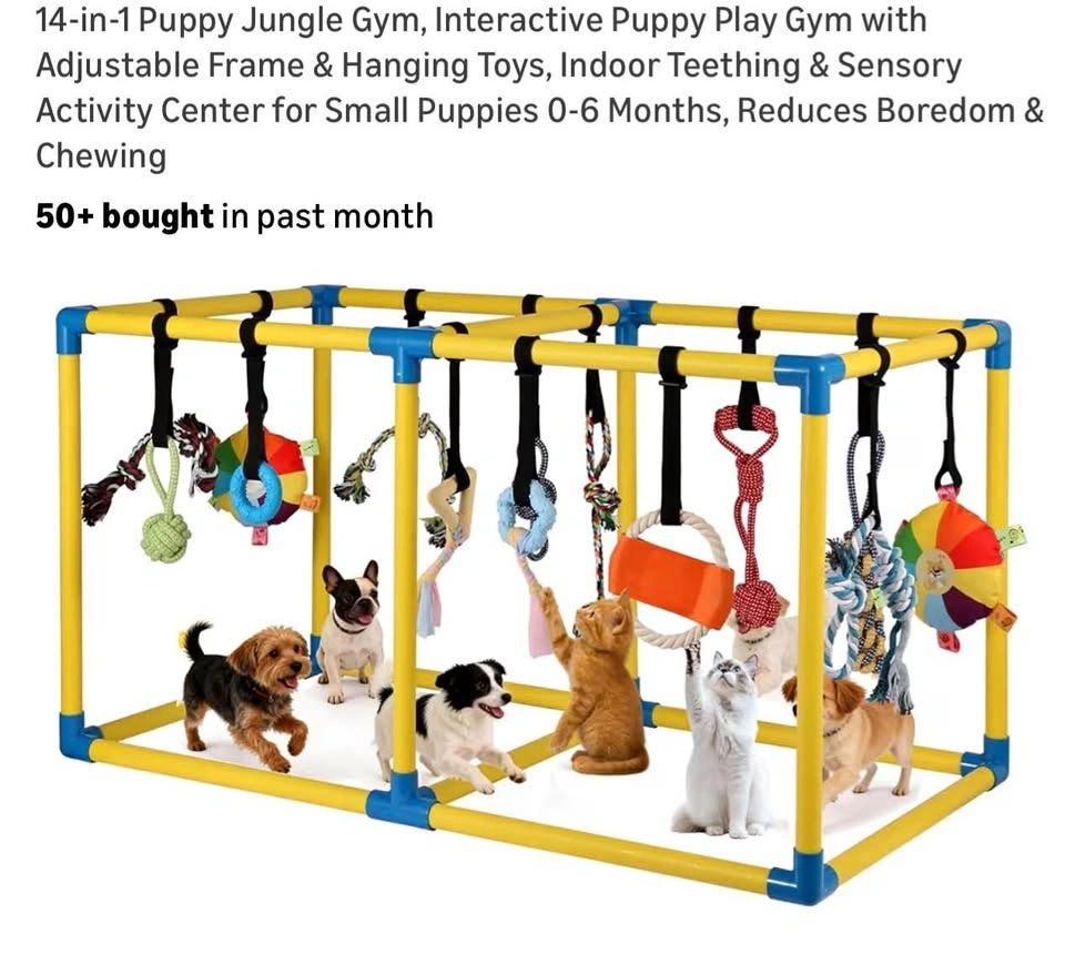 Interactive Puppy Jungle