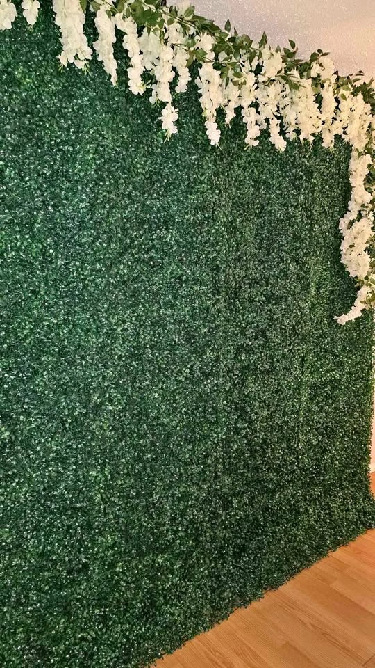 Greenery Backdrop for Rent 🌿