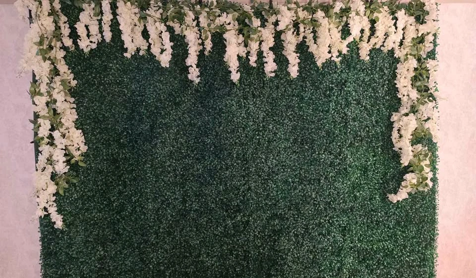 Greenery Backdrop for Rent 🌿 - photo 4