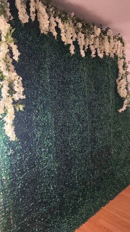 Greenery Backdrop for Rent 🌿 - photo 5