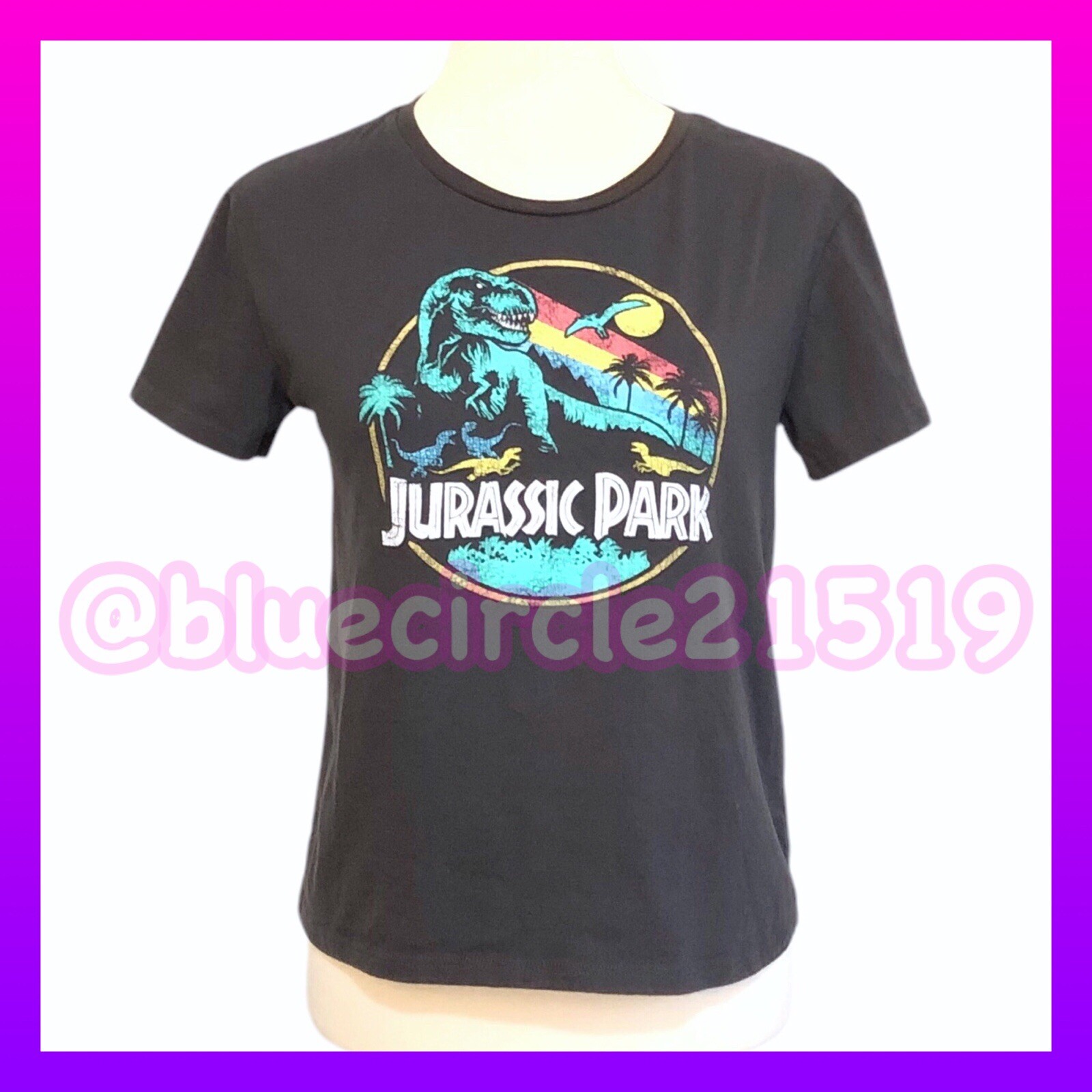 Jurassic World Rainbow Emblem Graphic Print Top M
