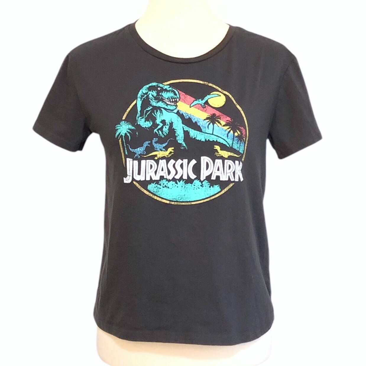 Jurassic World Rainbow Emblem Graphic Print Top M - photo 2