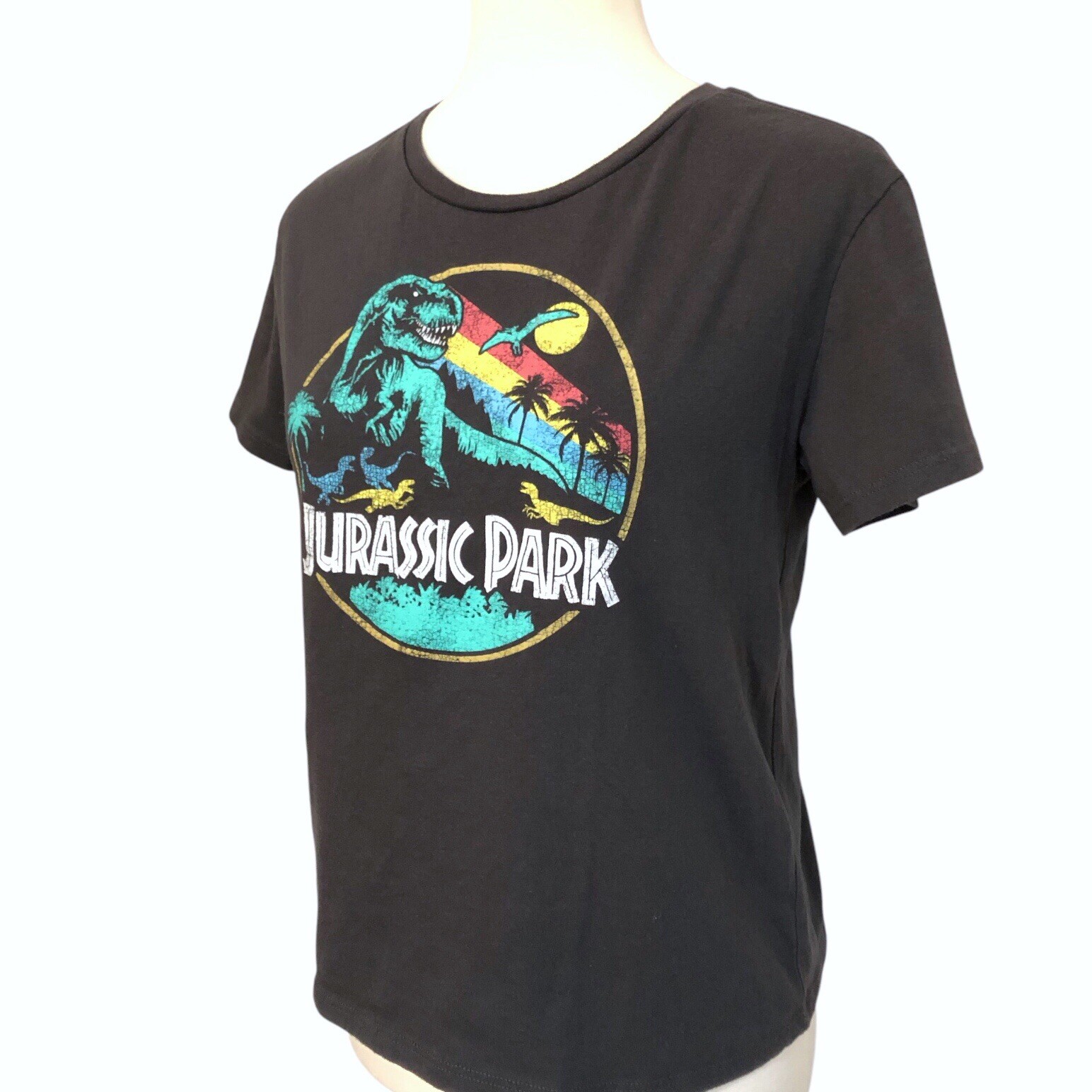 Jurassic World Rainbow Emblem Graphic Print Top M - photo 3