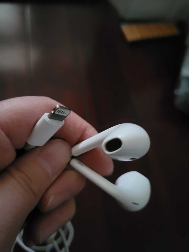 Apple Wired Earphones with Lightning Connector