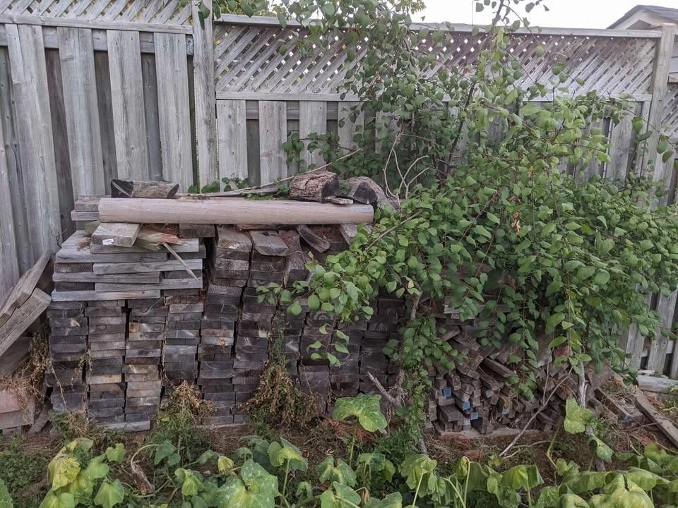 Lumber on sale - photo 2