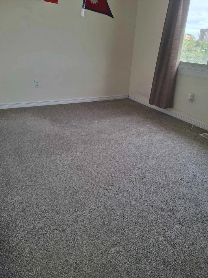 1 Bed 1 Bath - House
