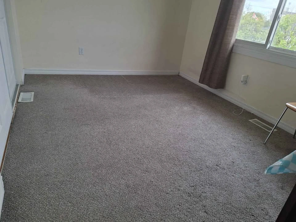 1 Bed 1 Bath - House - photo 4