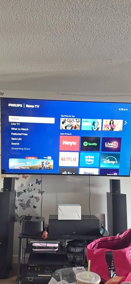 Philips Roku TV