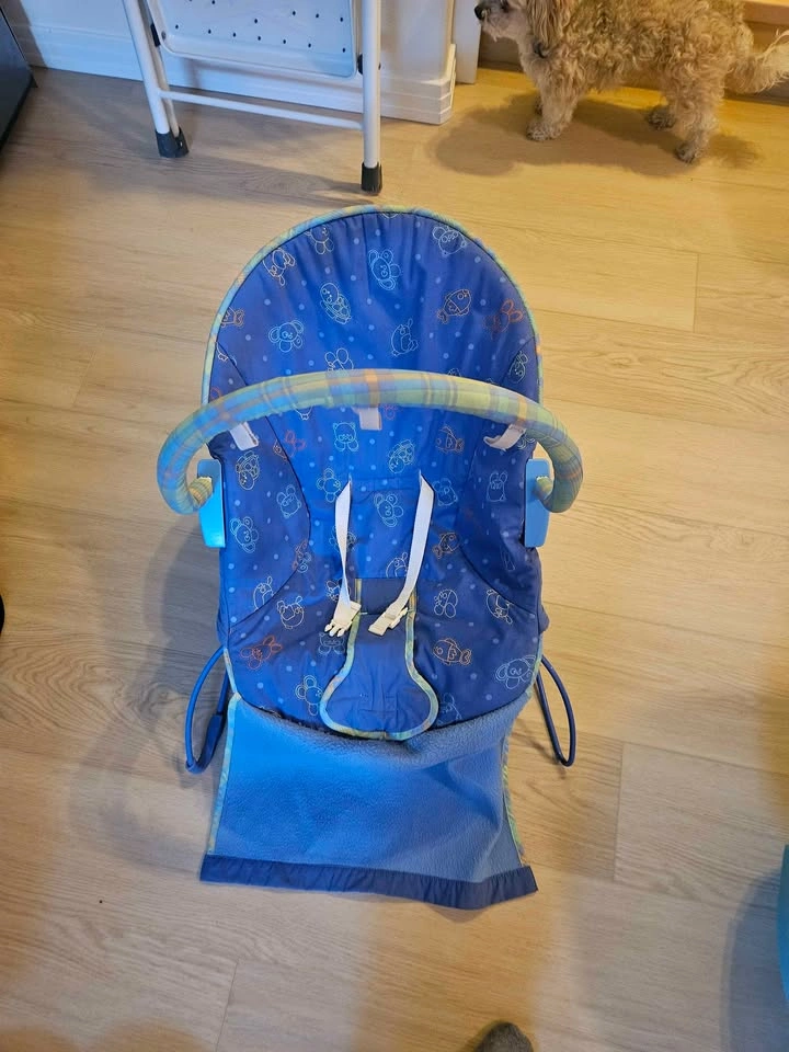 Fisher-Price Infant-to-Toddler Rocker - photo 2