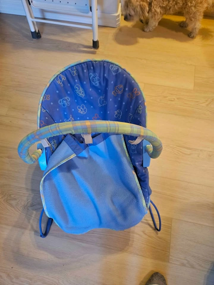 Fisher-Price Infant-to-Toddler Rocker - photo 3