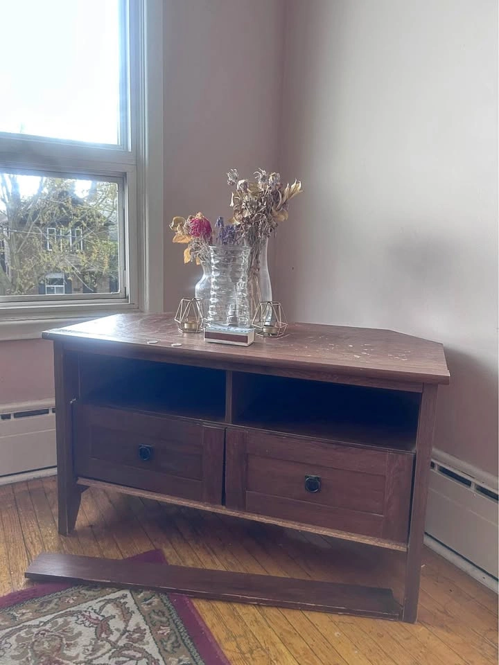 TV Console / Storage Cabinet