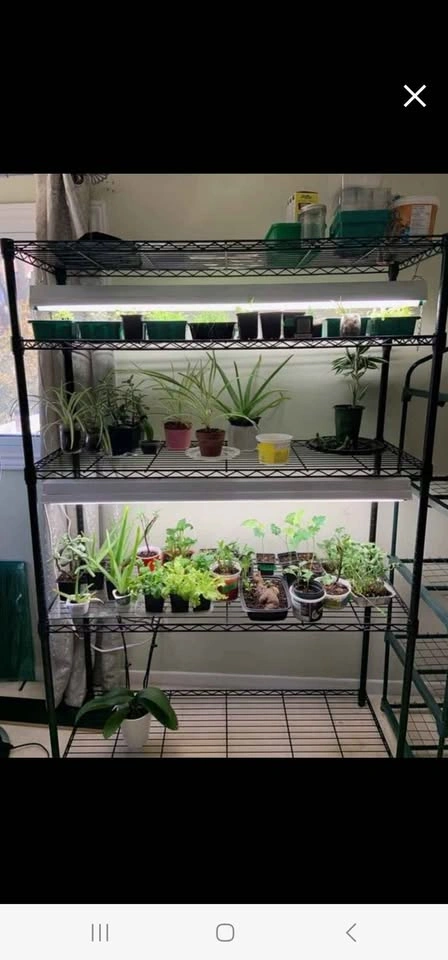 Grow lights for indoor plants pack of 2 strips - photo 4