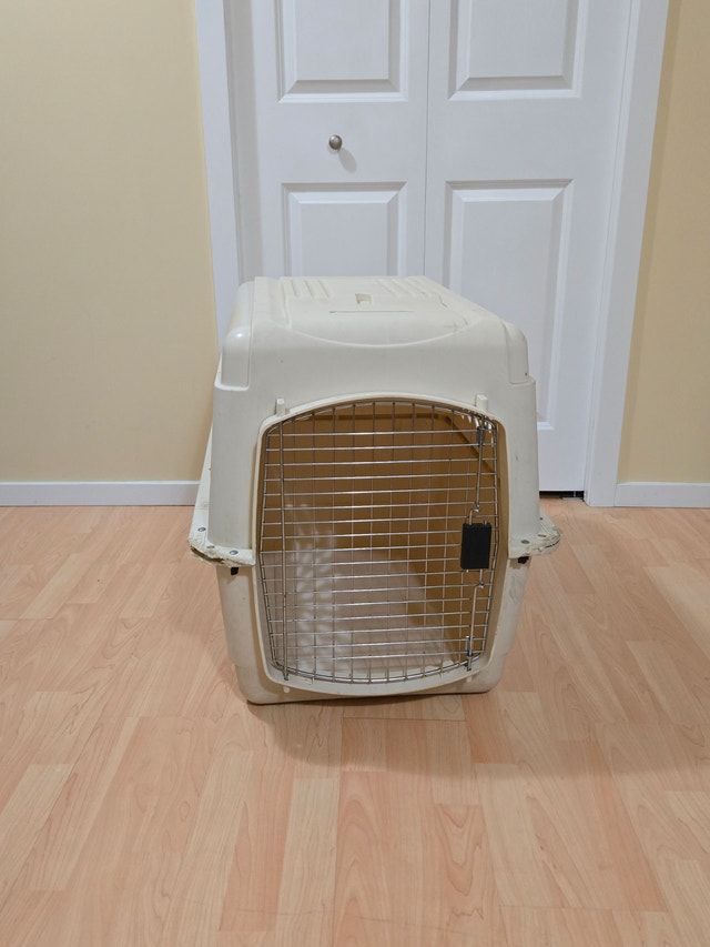 Hardcover Dog Kennel with Camo Cover – Medium Size
