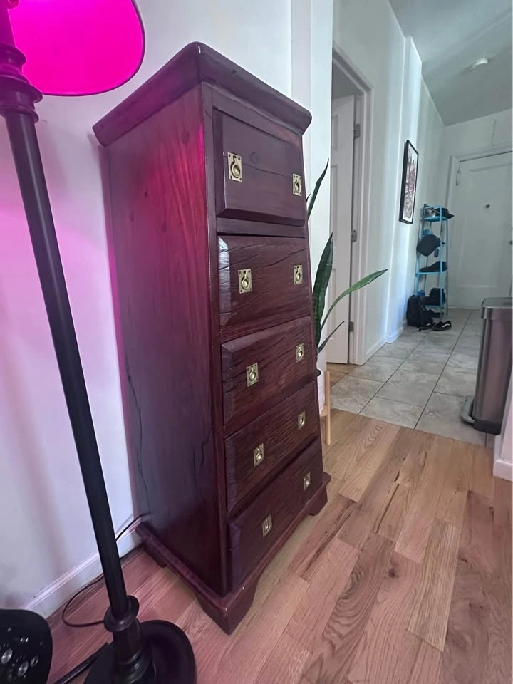 Rare Rhodesian Wood Tall Cabinet - photo 3