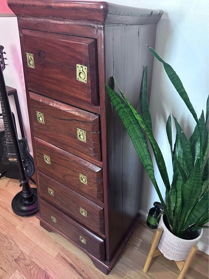 Rare Rhodesian Wood Tall Cabinet - photo 4