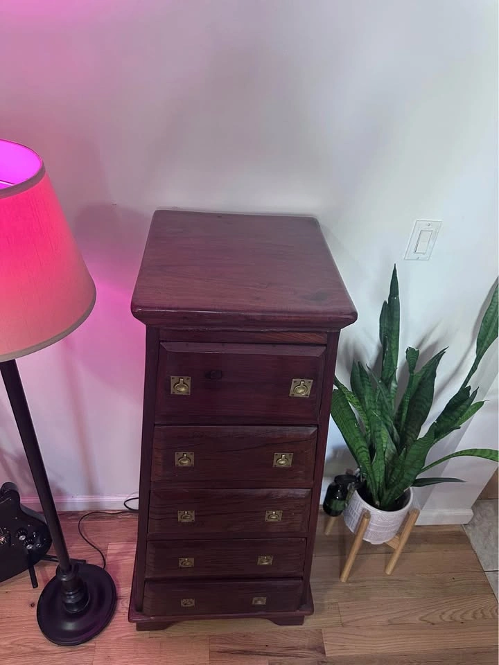Rare Rhodesian Wood Tall Cabinet - photo 5