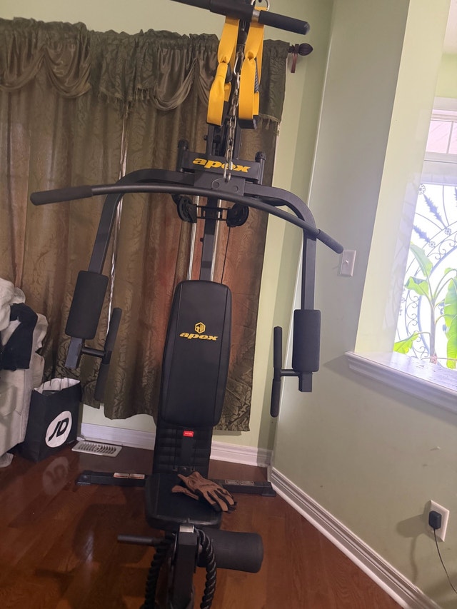 Apex AX-2109.1 Home Gym Machine - photo 2