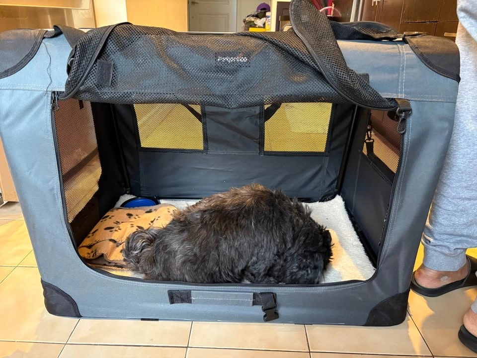 Grey Portable Dog Crate, Collapsible - photo 2