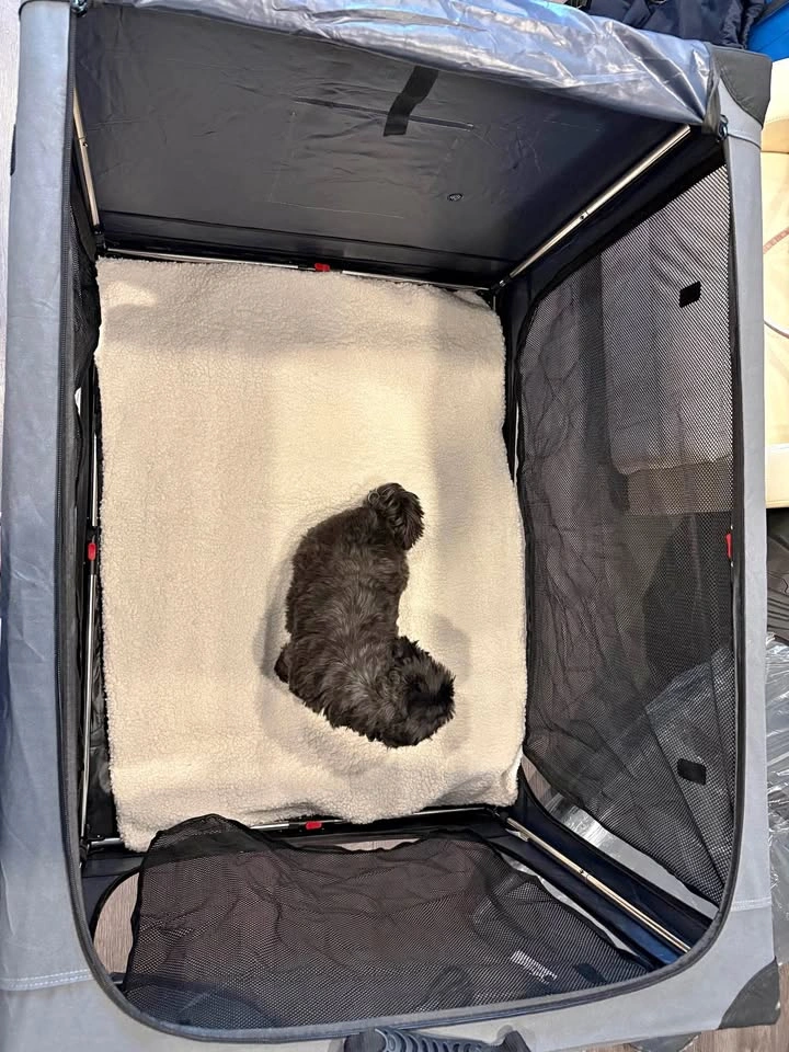 Veraste 42-Inch Collapsible Dog Crate