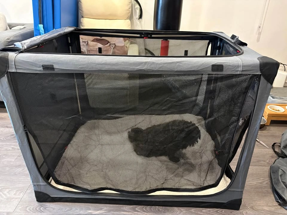 Veraste 42-Inch Collapsible Dog Crate - photo 2