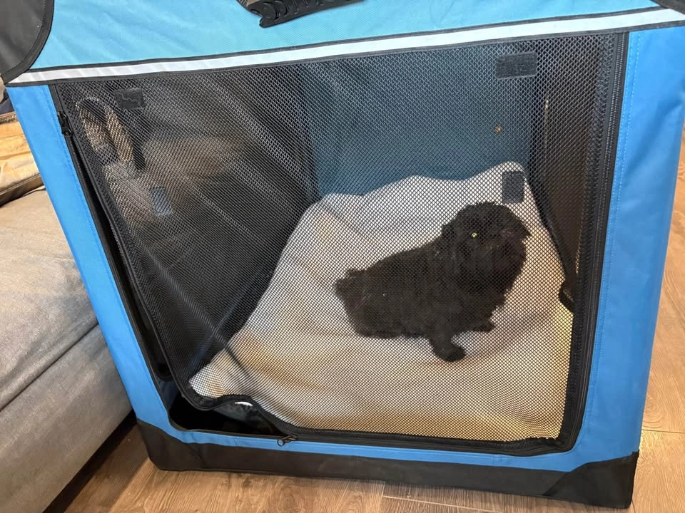 Ownpets 4-Door Folding Dog Crate XX-Large Blue - photo 5