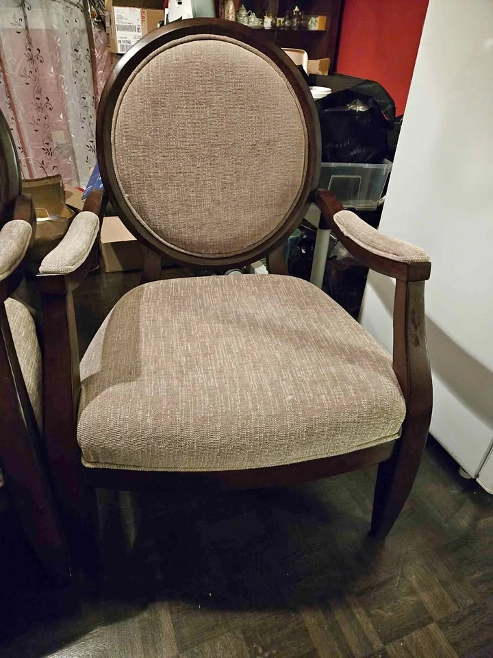 Elegant Classic Chairs (Set of 2) – Great Condition