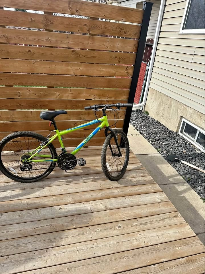 MOVELO Algonquin 24 inch Green Blue Bike