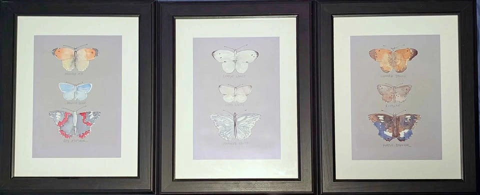 Set of 3 Watercolour Butterfly Prints w/ Frames