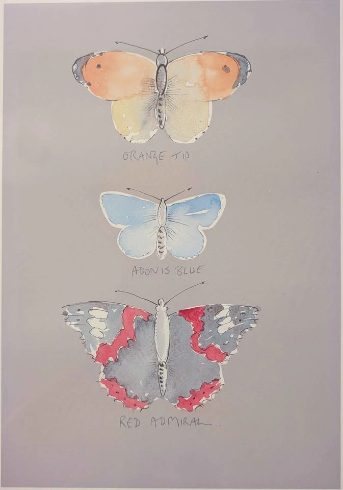 Set of 3 Watercolour Butterfly Prints w/ Frames - photo 2