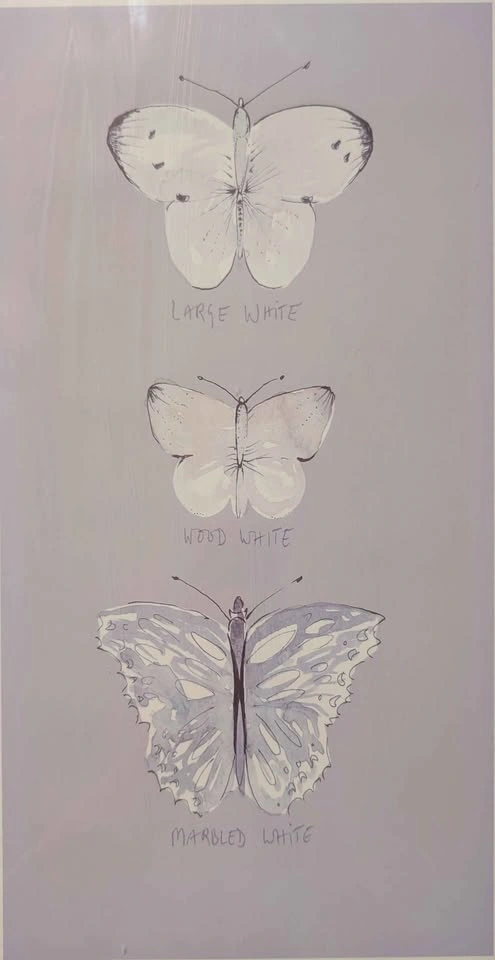 Set of 3 Watercolour Butterfly Prints w/ Frames - photo 3