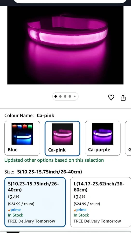 LED Light-up Dog Collar