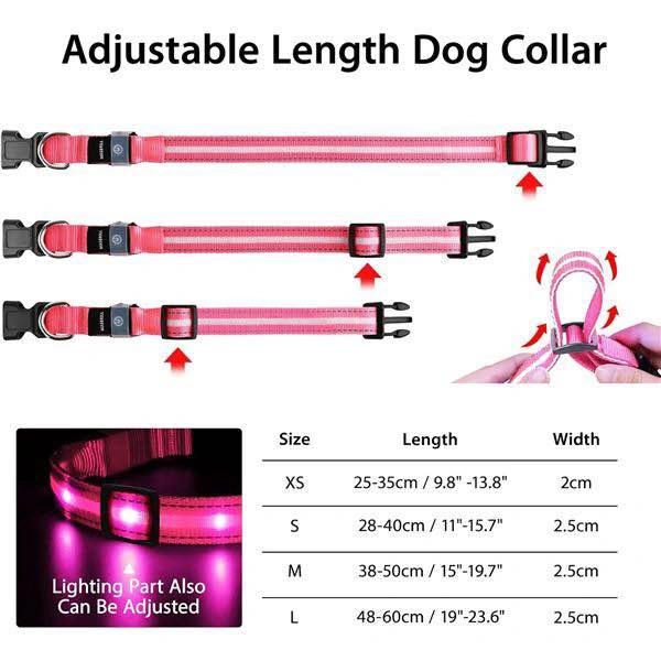 LED Light-up Dog Collar - photo 5