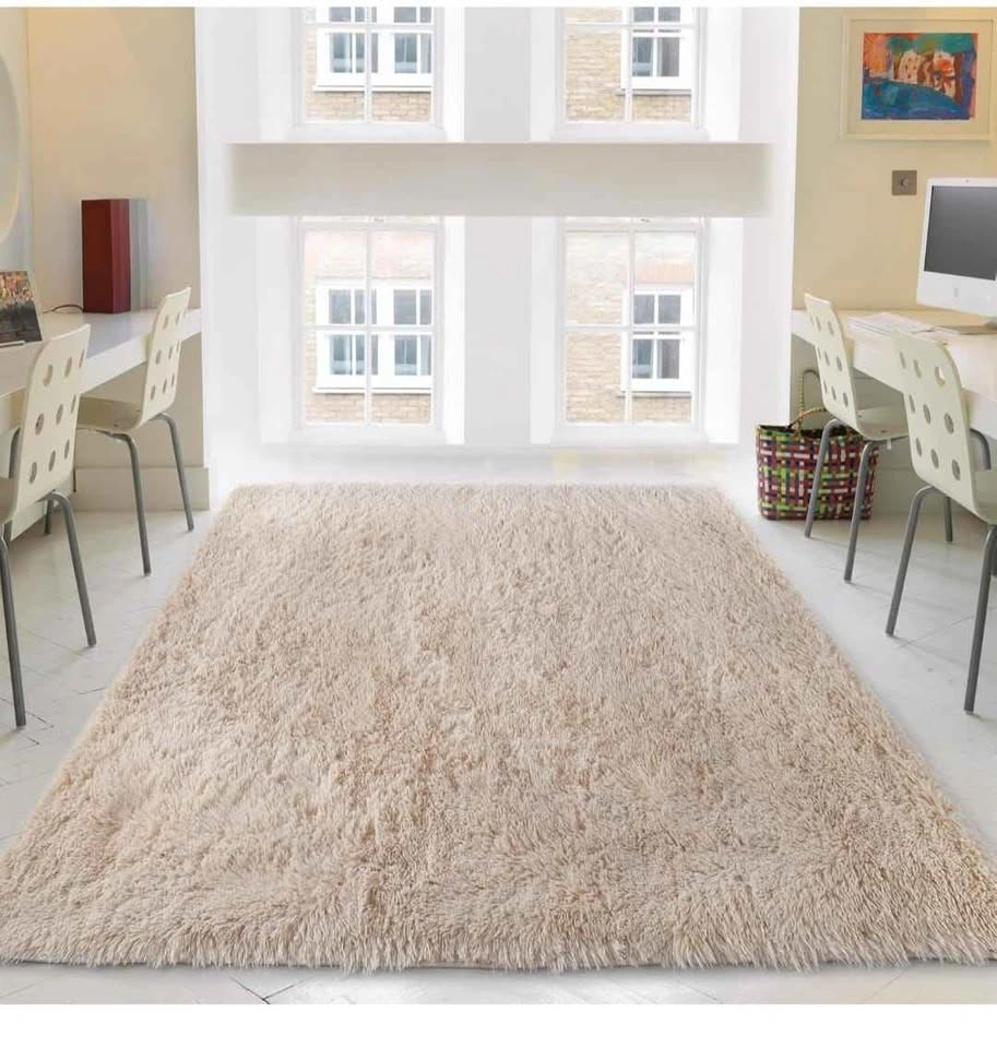 Pure Beige Area Rug 6x9 Feet (brand new) - photo 3