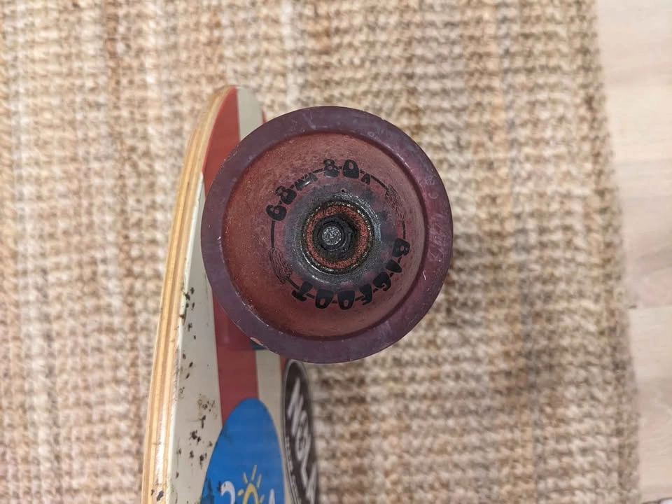 Paradise Longboard - photo 3
