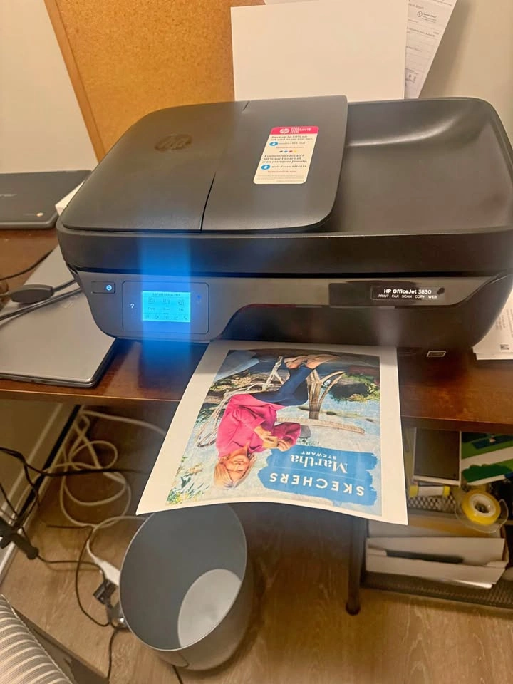 HP OfficeJet 3830 All-in-One Wireless Printer