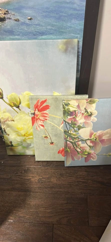 Art work/ IKEA Canvas prints and Large Frames! - photo 2