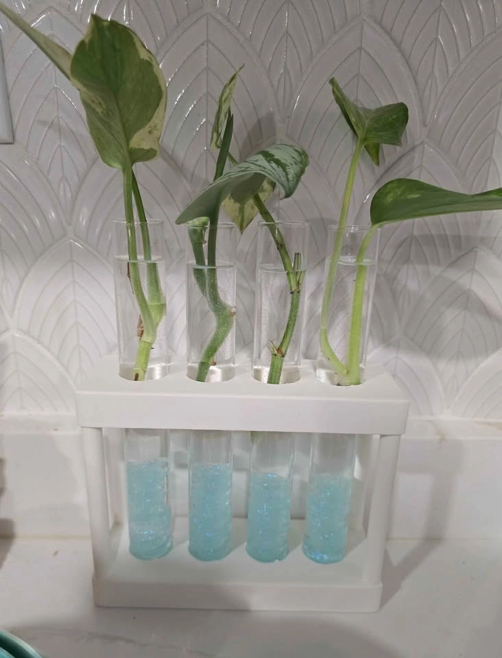 Plant Stands & Propagation Stations - photo 2