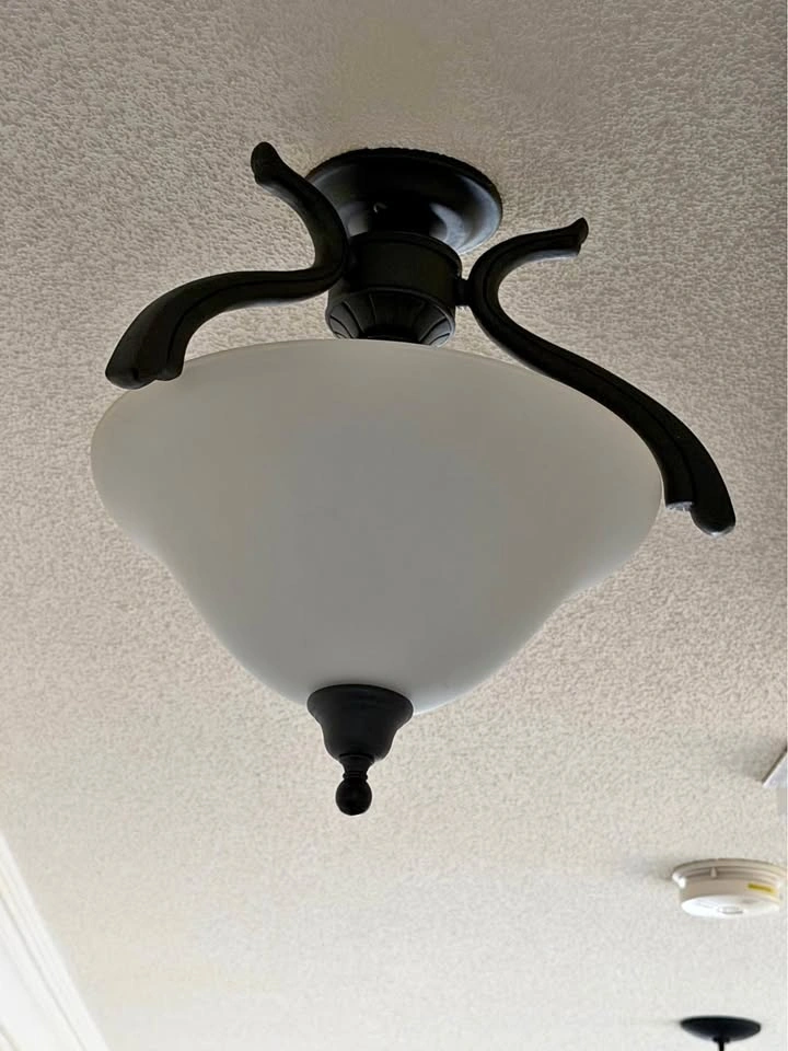 Black & White Ceiling Light Fixture