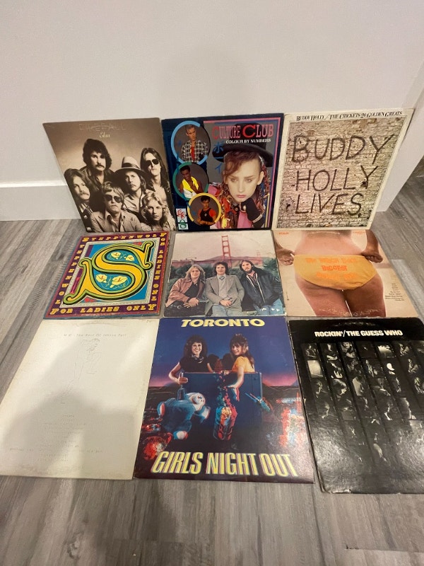 Vintage Vinyl LPs - Random Titles - photo 3