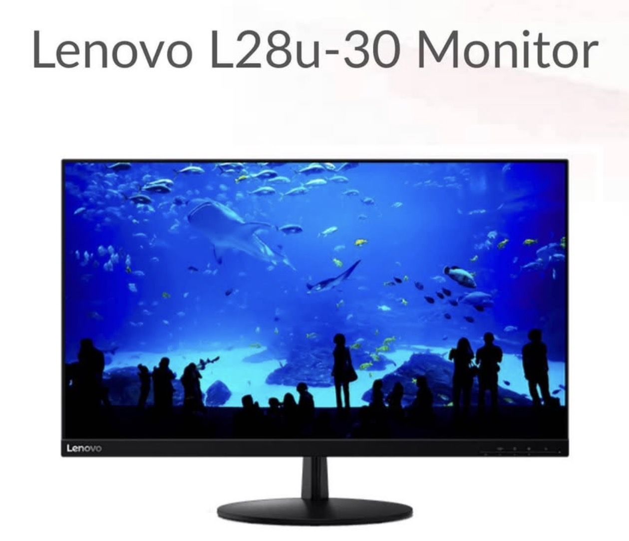 Lenovo L28u-30 28" 4K UHD Monitor