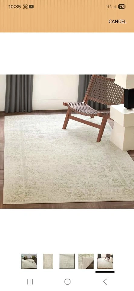 5x7 Wayfair Carpet New
