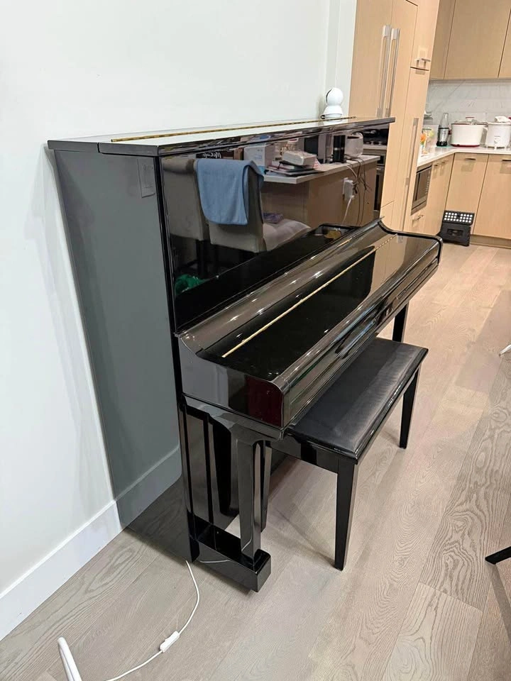 Steigerman Piano