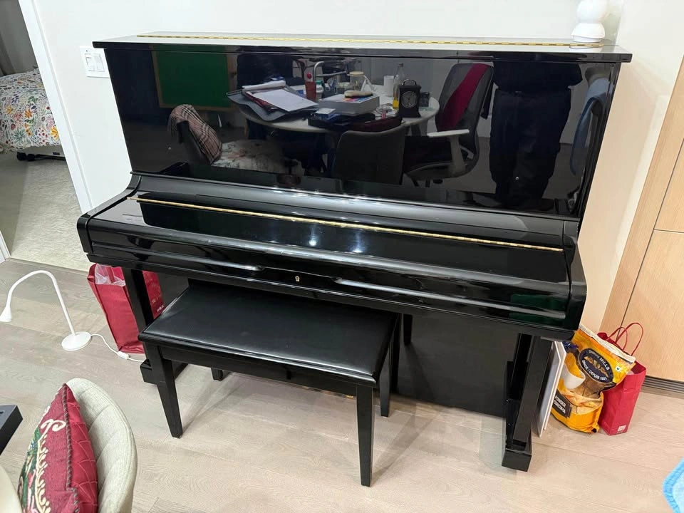 Steigerman Piano - photo 2