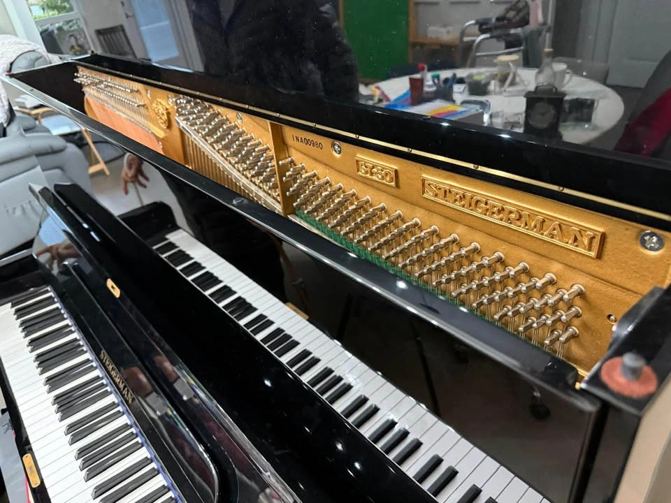 Steigerman Piano - photo 3
