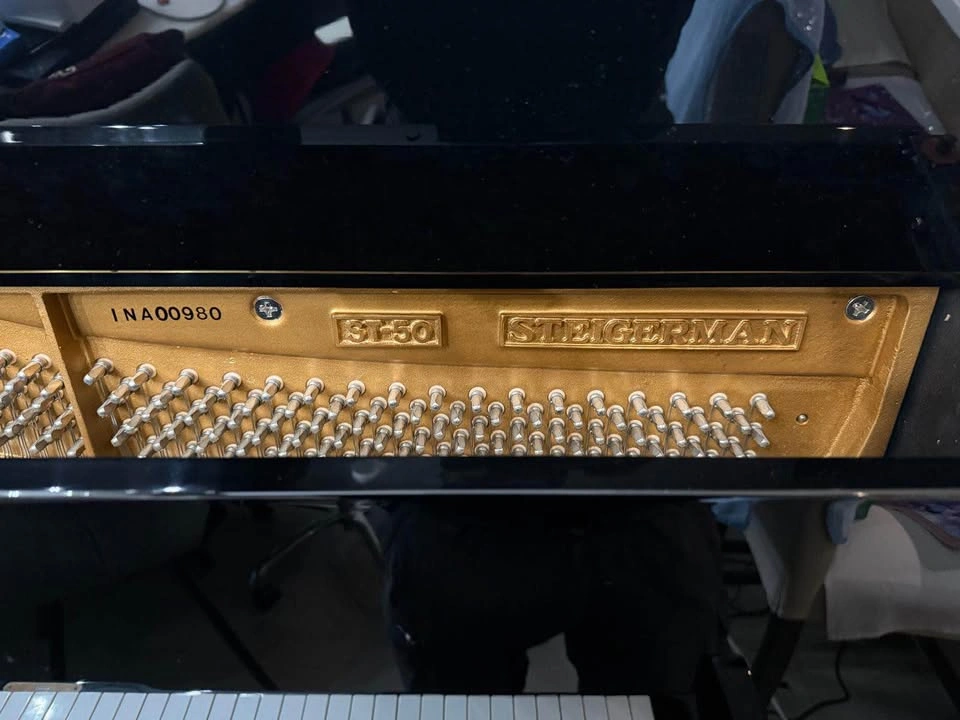 Steigerman Piano - photo 4