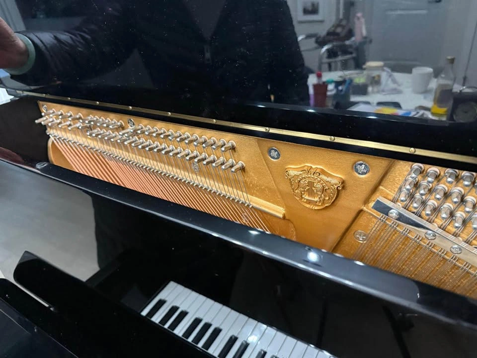 Steigerman Piano - photo 5